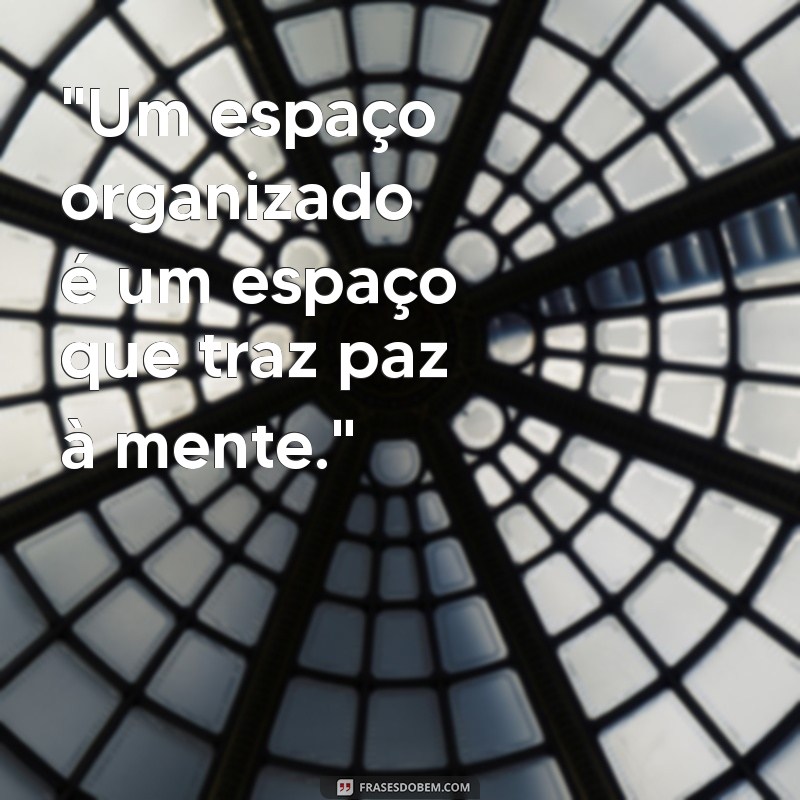 frases de organização e limpeza 