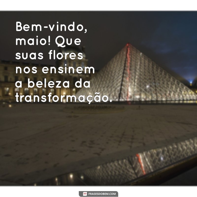 Bem-vindo Maio: Mensagens Inspiradoras para Receber o Mês com Positividade 