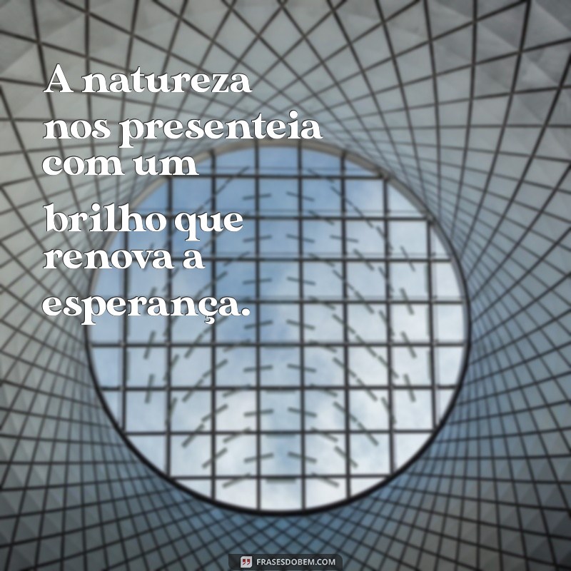 Descubra 20 Frases Inspiradoras que Transmitem Brilho e Positividade 