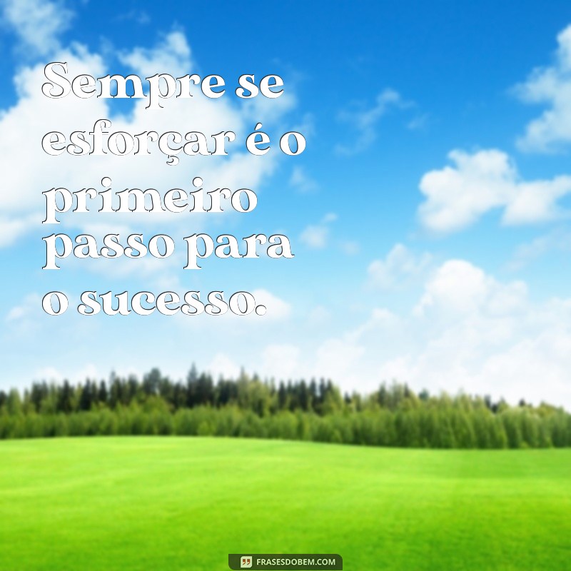 faça o seu melhor Sempre se esforçar é o primeiro passo para o sucesso.