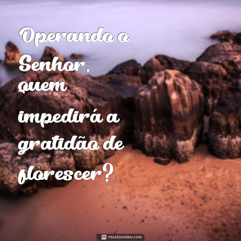 Operando o Senhor: Quem Pode Impedir Seu Poder? 