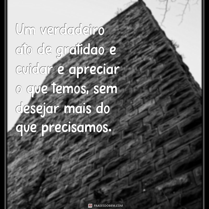 Descubra as melhores frases para celebrar o Dia de Ação de Graças! 