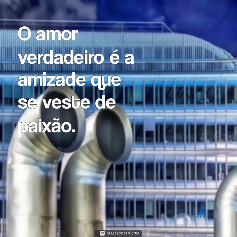 frases de amor e companheirismo O amor verdadeiro é a amizade que se veste de paixão.