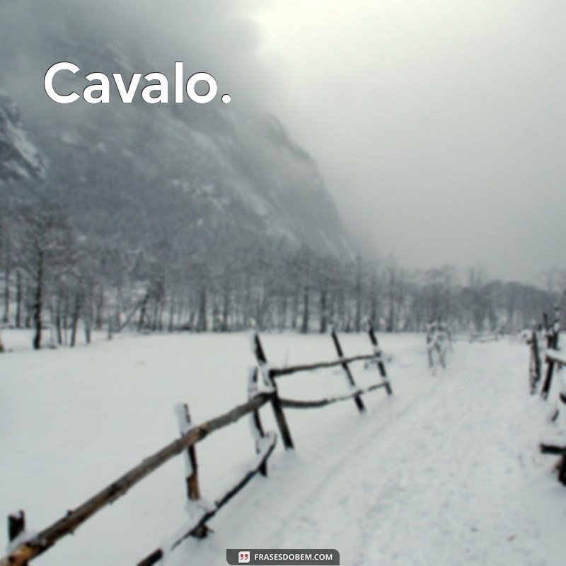 cavalo. Cavalo.