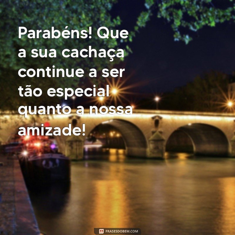 As Melhores Mensagens de Aniversário para Sua Amiga Cachaceira 