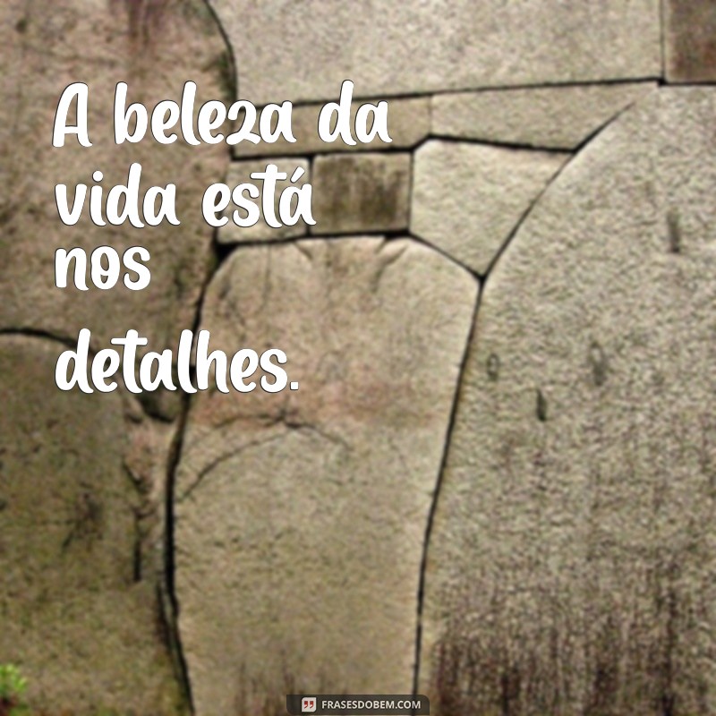 Frases Criativas para Reels: Inspire e Engaje Sua Audiência 