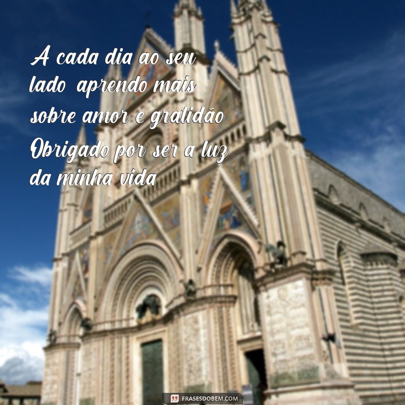 texto para agradecer a namorada por tudo A cada dia ao seu lado, aprendo mais sobre amor e gratidão. Obrigado por ser a luz da minha vida.