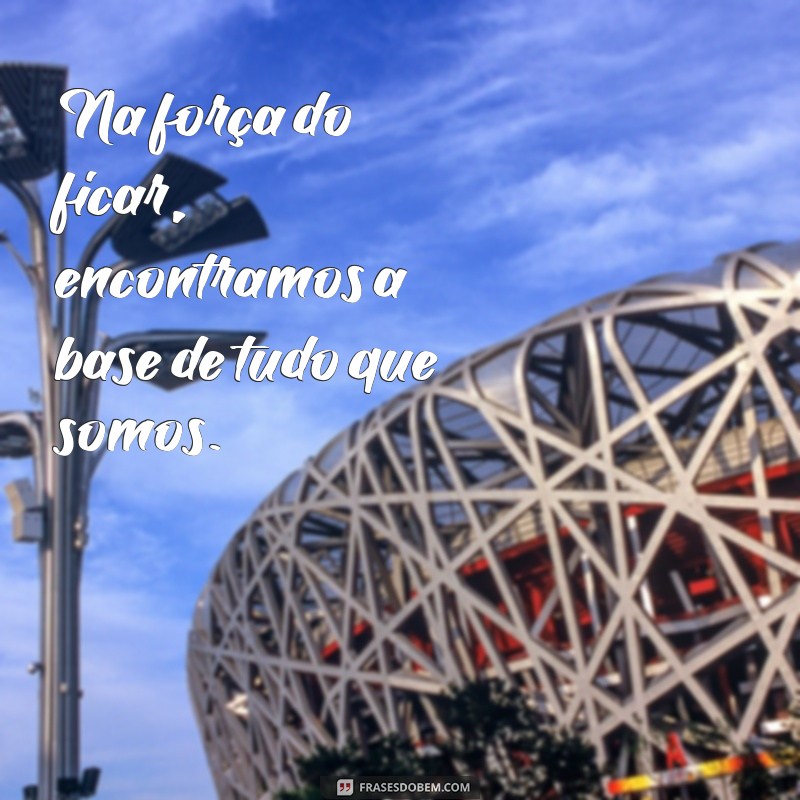 Frases Inspiradoras para Celebrar o Dia do Fico: Reflexões e Mensagens 