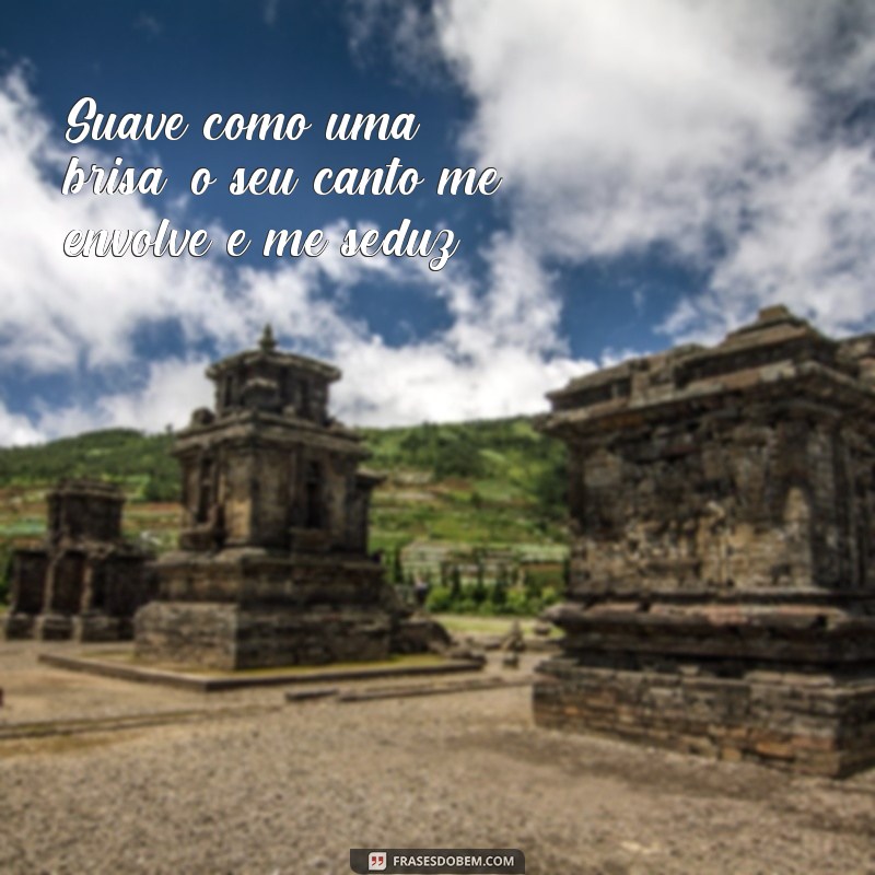 Encante-se com as mais belas frases cantadas: inspire-se e emocione-se! 