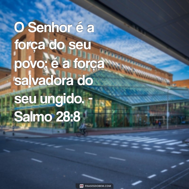 Descubra Mensagens de Prosperidade na Bíblia: Versículos que Transformam Vidas 