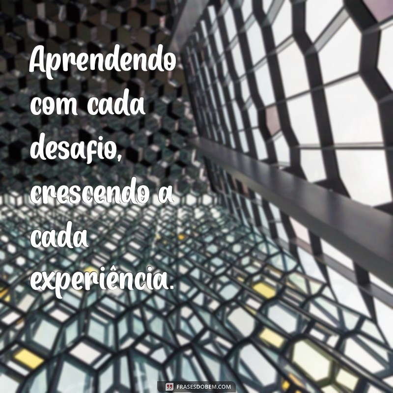 Frases Criativas para Biografia do Facebook: Inspire-se e Destaque-se! 