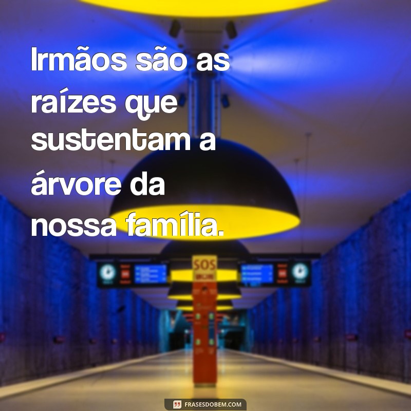 Amor de Irmãos: A Profundidade dos Laços Fraternais 