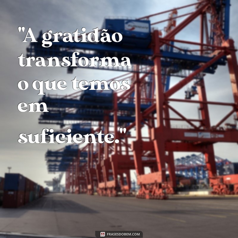 frases bonita de gratidão 