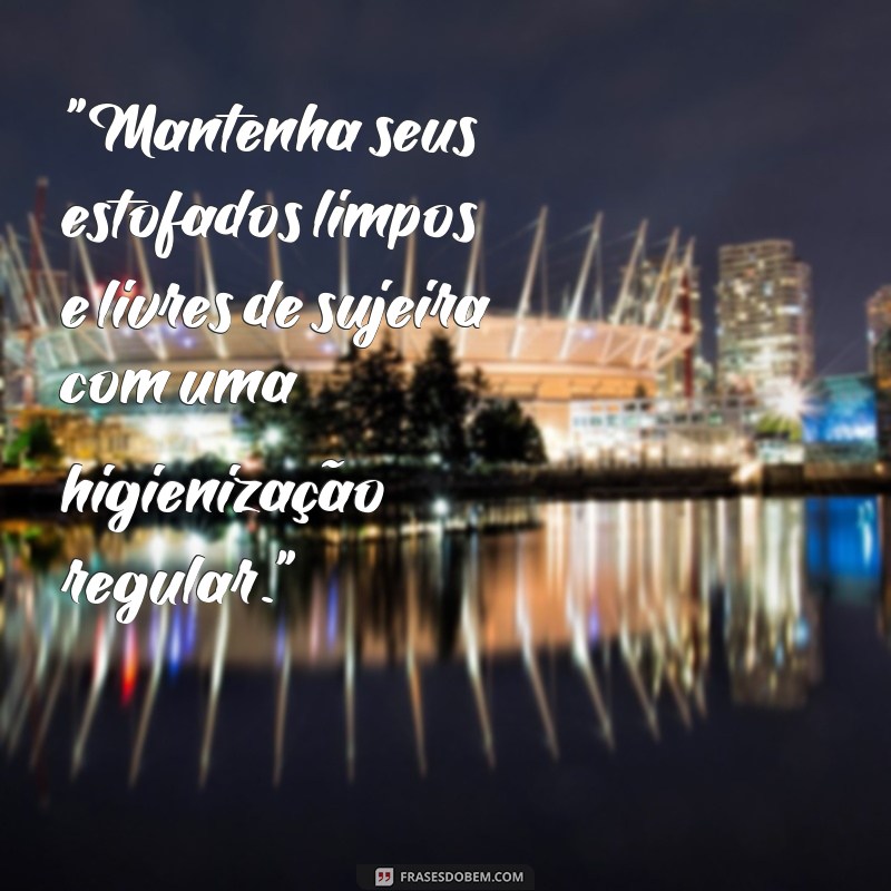 frases de higienização de estofados 