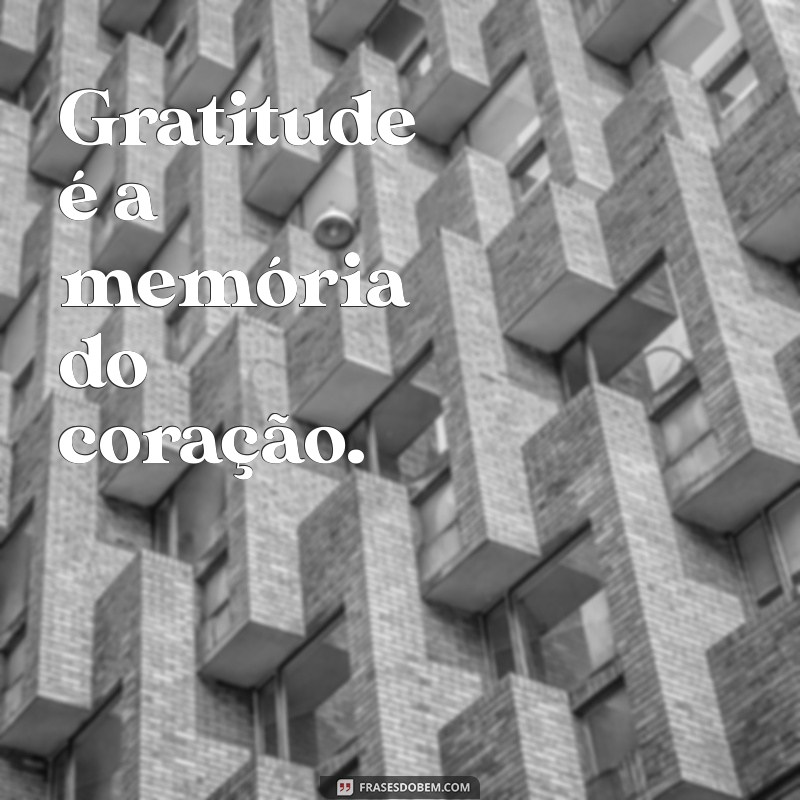 10 Imagens Inspiradoras para Expressar Gratidão pela Vida 