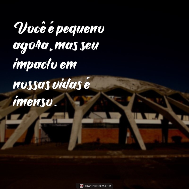 Frases Emocionantes para Celebrar o Nascimento do Seu Filho 