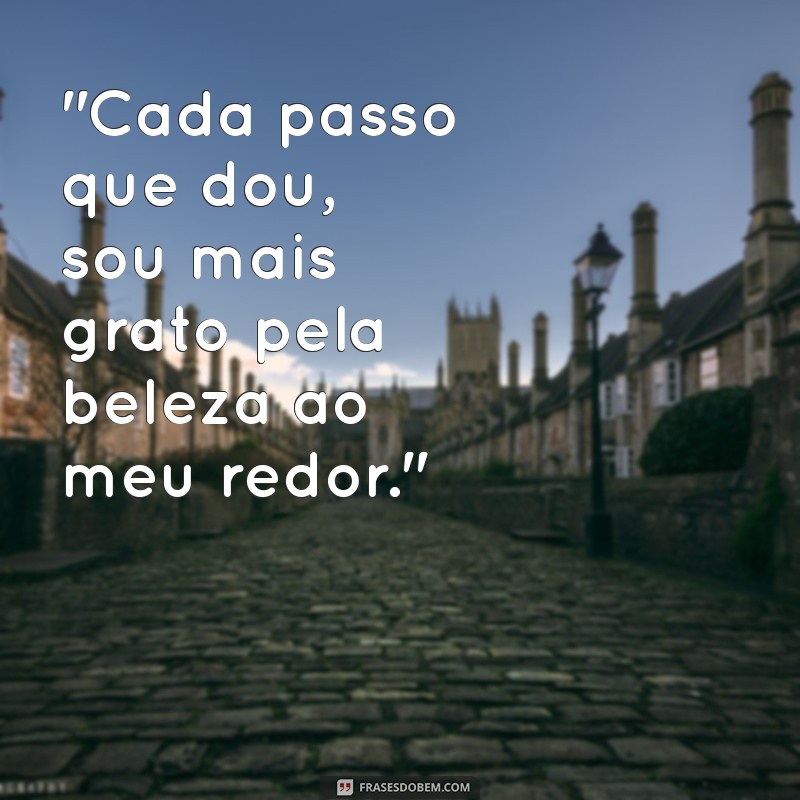 frases para passeios 