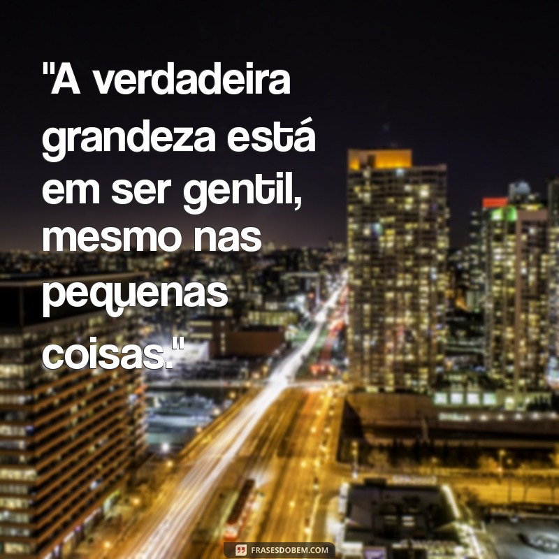 frases do pequeno mestre 