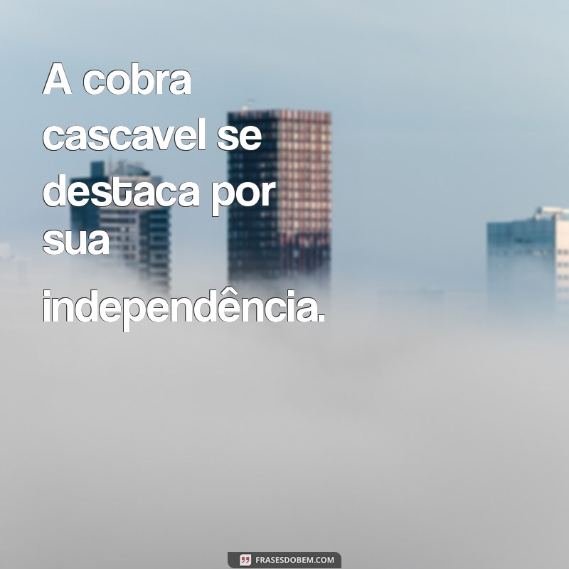 cobra cascavel anda sozinha A cobra cascavel se destaca por sua independência.