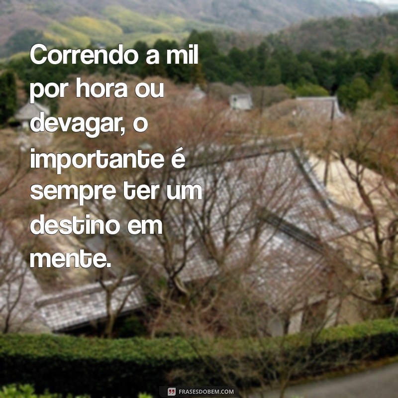 Frases de Cowboy: Sabedoria do Sertão para Inspirar sua Vida 