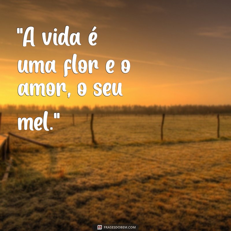 tatuagem feminina frases 