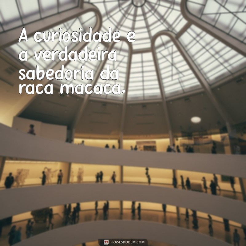 raca de macacos A curiosidade é a verdadeira sabedoria da raça macaca.