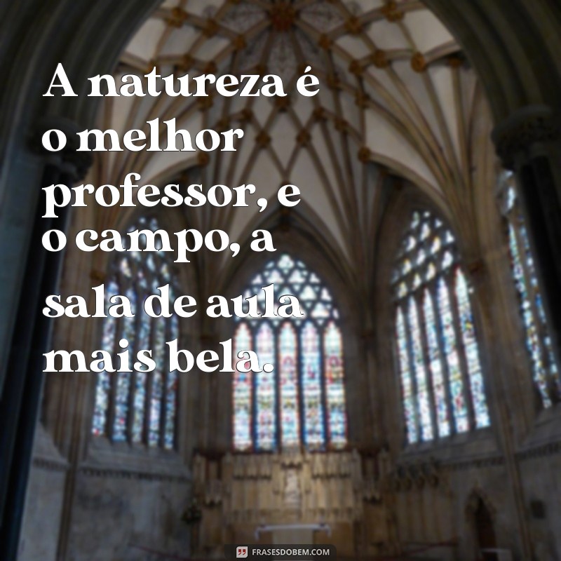 Descubra as Melhores Frases sobre o Campo e a Natureza para Inspirar sua Conexão com a Terra 