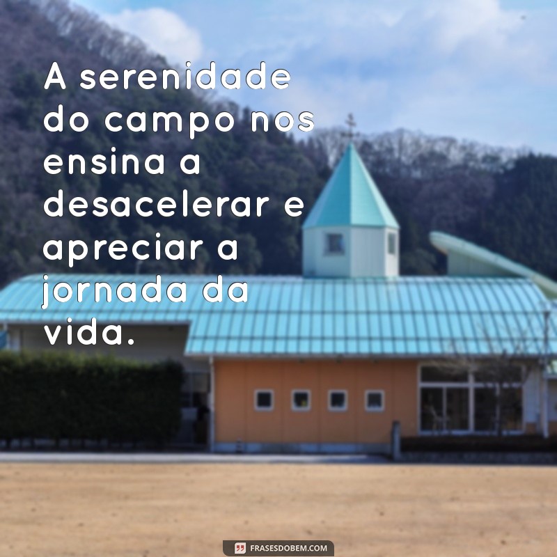 Descubra as Melhores Frases sobre o Campo e a Natureza para Inspirar sua Conexão com a Terra 