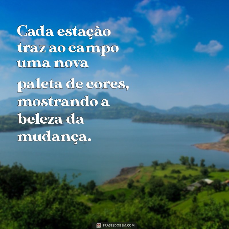 Descubra as Melhores Frases sobre o Campo e a Natureza para Inspirar sua Conexão com a Terra 