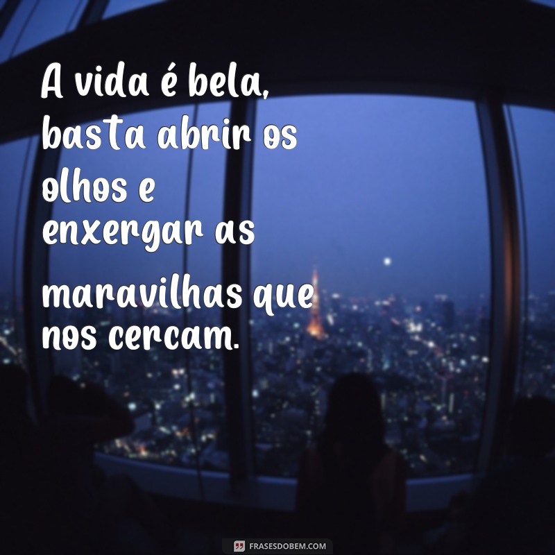 Descubra as mais belas frases sobre a vida para se inspirar e refletir 