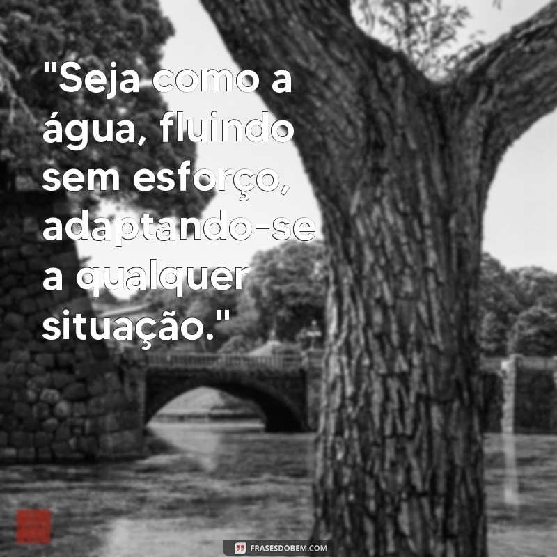 frases de bruce lee seja como a agua 