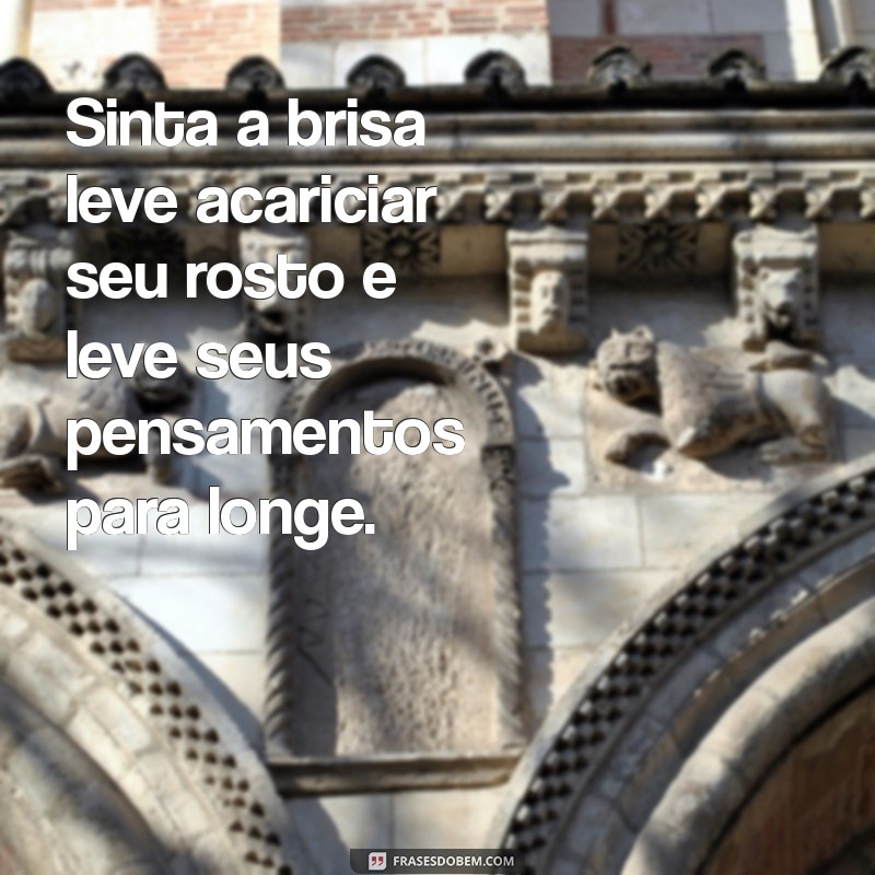 sencacao Sinta a brisa leve acariciar seu rosto e leve seus pensamentos para longe.