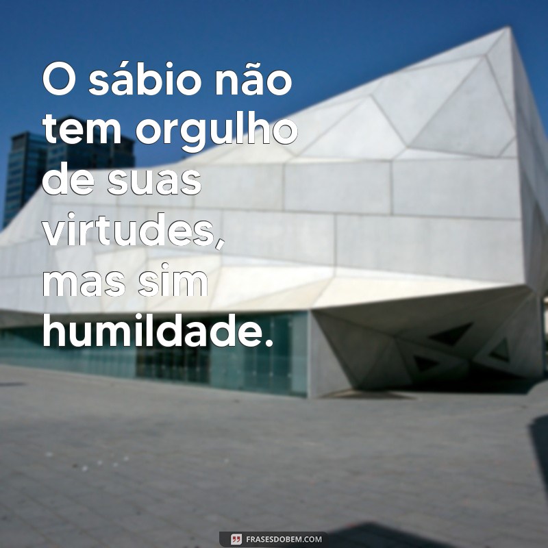 Descubra as melhores frases de Demócrito para inspirar sua vida 