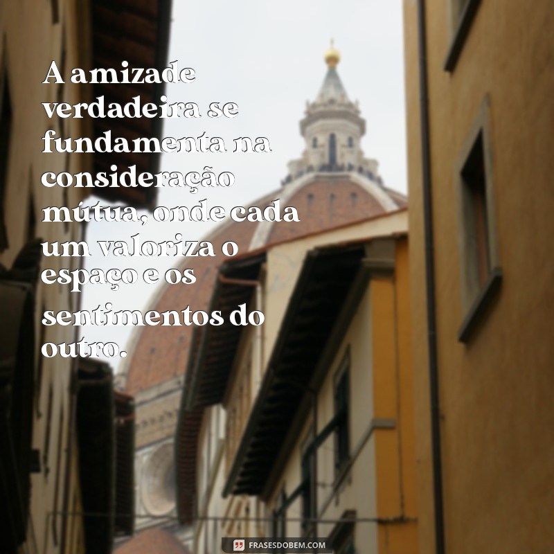 frases sobre consideração e amizade A amizade verdadeira se fundamenta na consideração mútua, onde cada um valoriza o espaço e os sentimentos do outro.