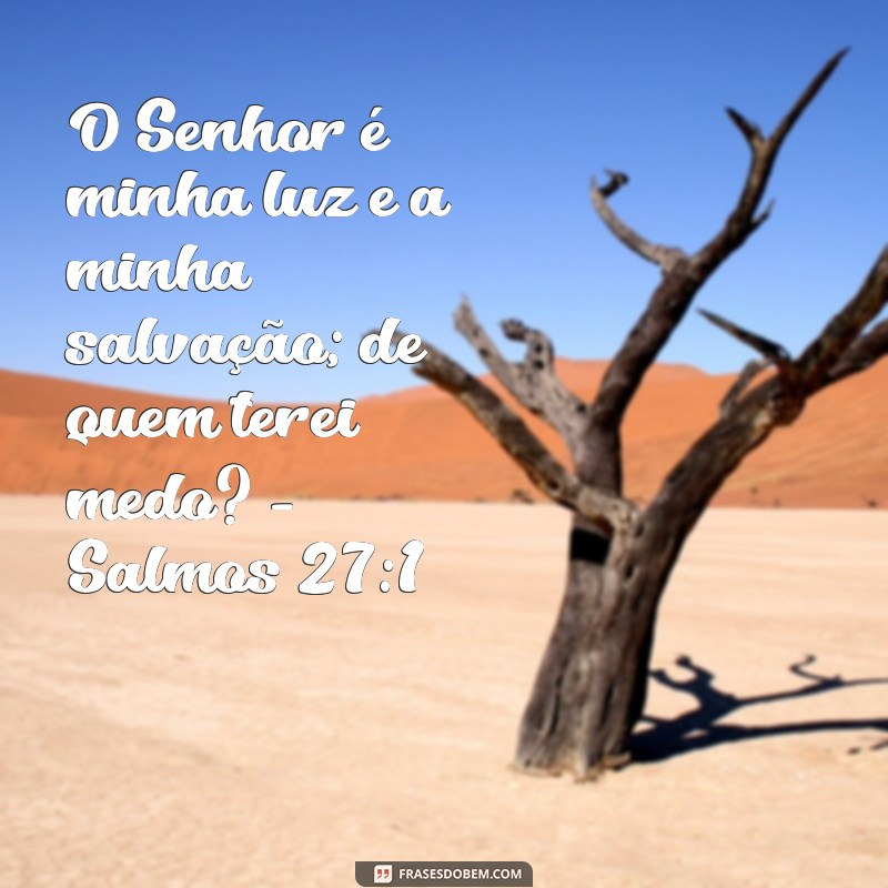 Frases Bíblicas Inspiradoras para Renovar sua Esperança 