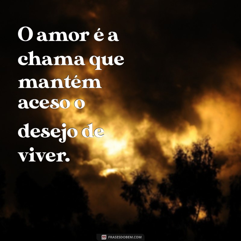 Frases Inspiradoras: O Amor É Tudo o Que Você Precisa 