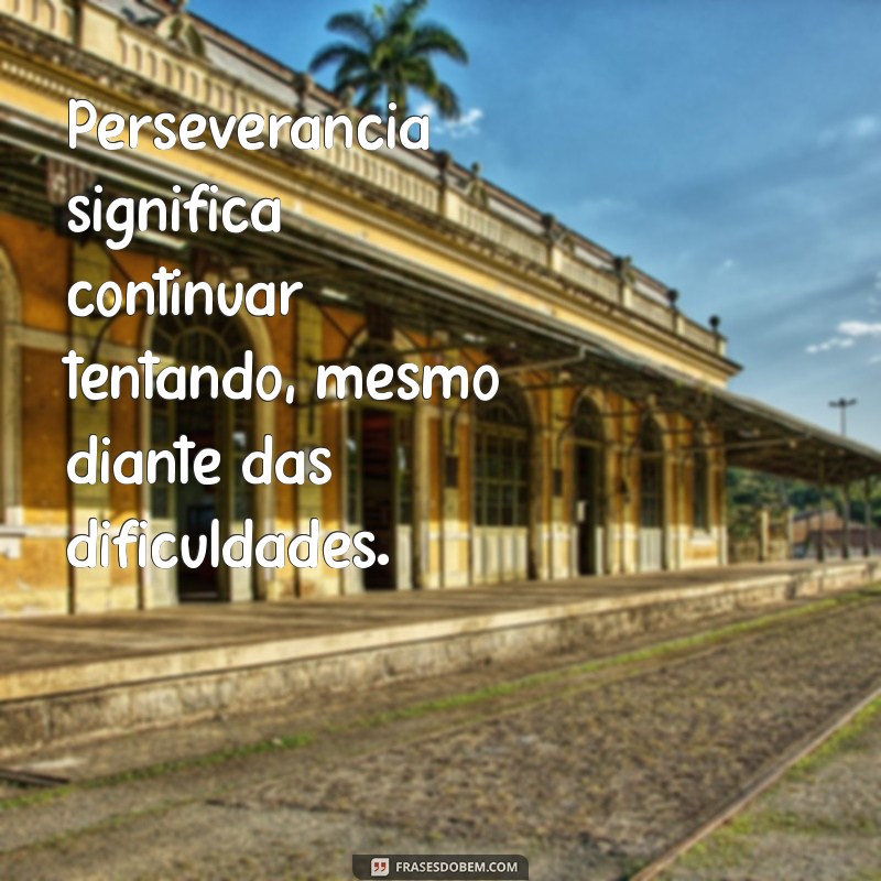 perceverancia significa Perseverância significa continuar tentando, mesmo diante das dificuldades.