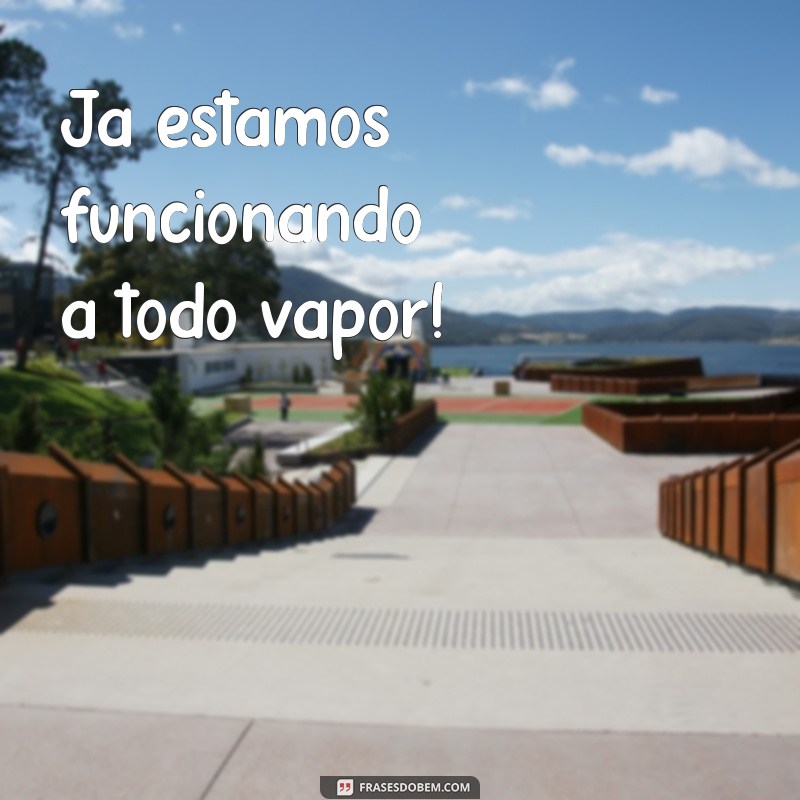 ja estamos funcionando Já estamos funcionando a todo vapor!