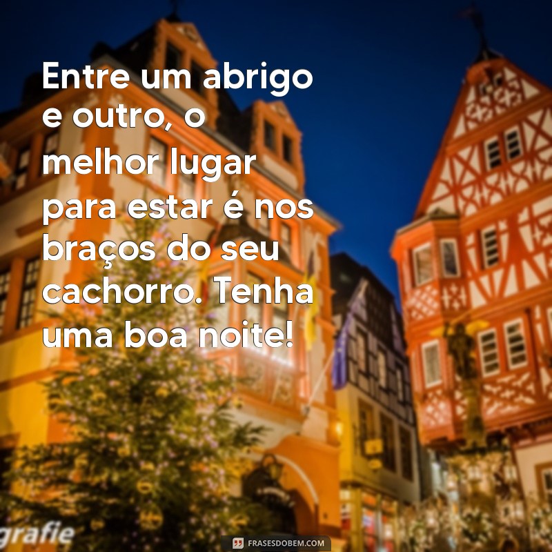 Mensagem de Boa Noite: Encantadoras Frases para Acompanhar seu Cachorro 