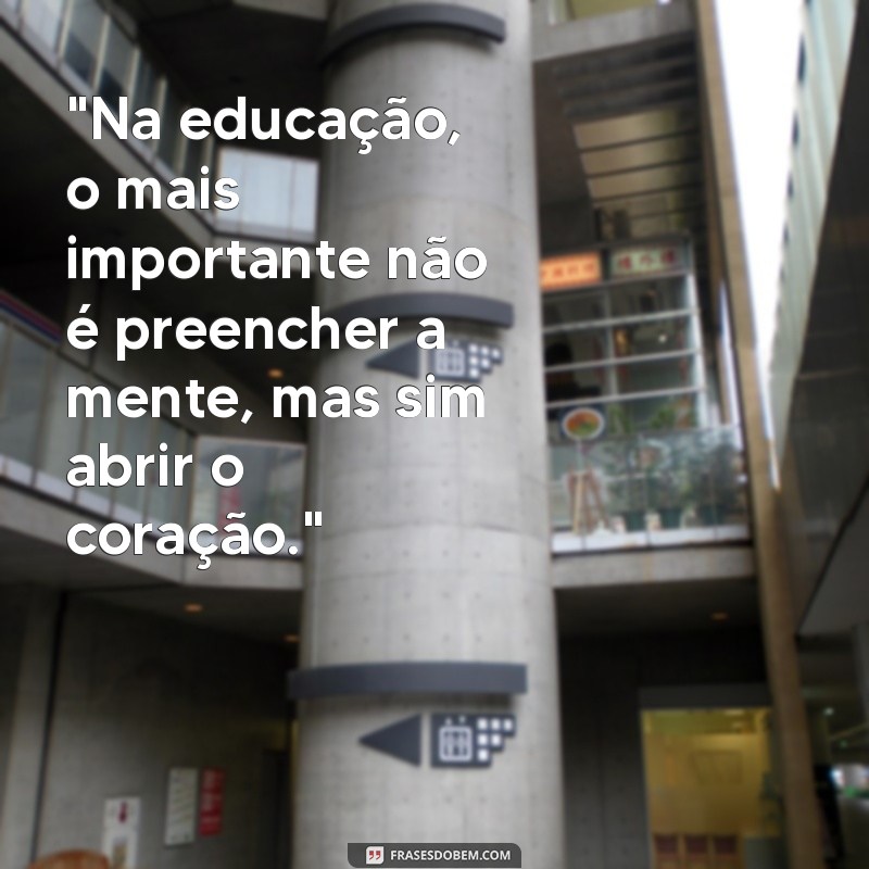 frases de manoel de barros sobre educação 