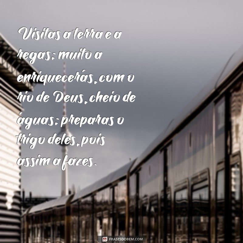 Salmo 65 Completo: Reflexões e Significados para Inspirar Sua Fé 