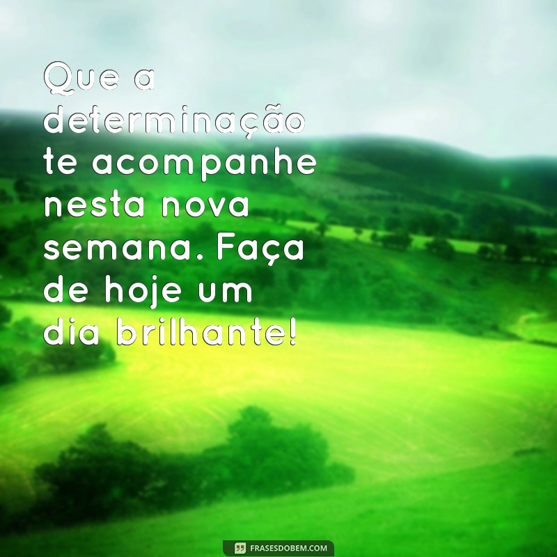 Mensagens Inspiradoras de Bom Dia para Começar a Semana com Energia na Segunda-feira 