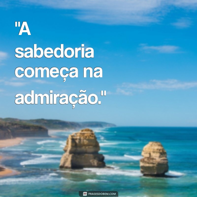 pitagoras frases 