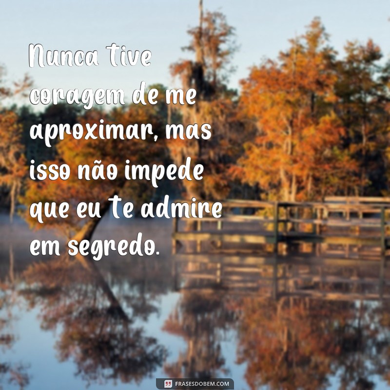 Descubra as melhores frases de admirador secreto no Tumblr 