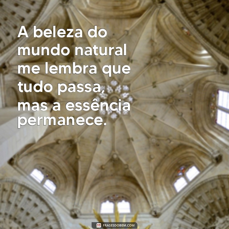 As Melhores Frases para Acompanhar Suas Fotos Naturais 