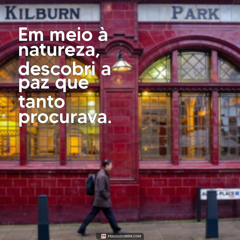 As Melhores Frases para Acompanhar Suas Fotos Naturais 