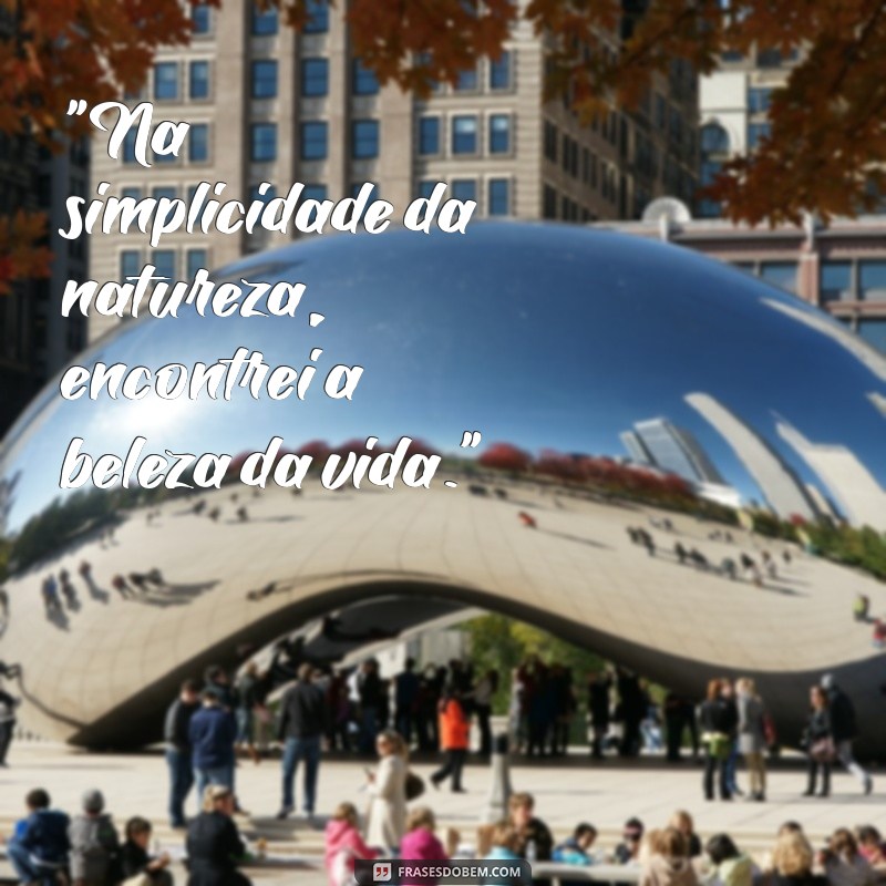 frases para foto natural 