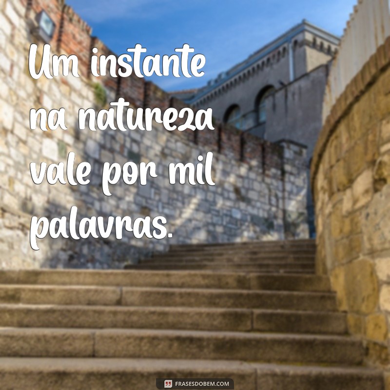 As Melhores Frases para Acompanhar Suas Fotos Naturais 