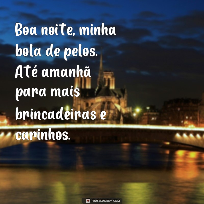 Encante-se com as mais fofas frases de boa noite com gatos 