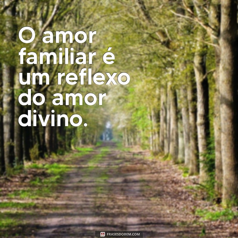 Frases Inspiradoras para Fortalecer os Laços da Família Cristã 